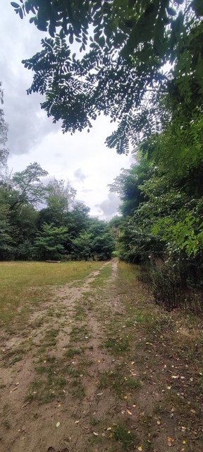 JaGrzesznick #348217