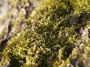 seylll OLYMPUS DIGITAL CAMERA