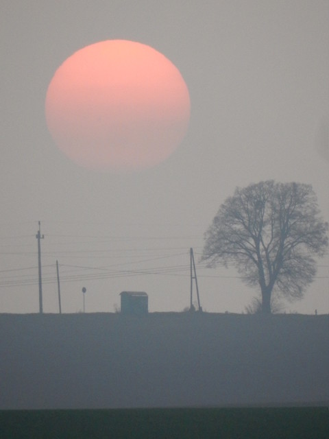 Bogumiła Sipel 