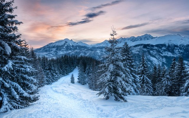 AUGUSTYN SYBIDLO #348574