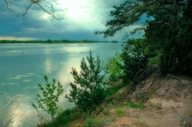 Zbigniew Kapusta #324729