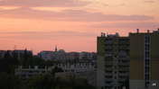 Picasa 