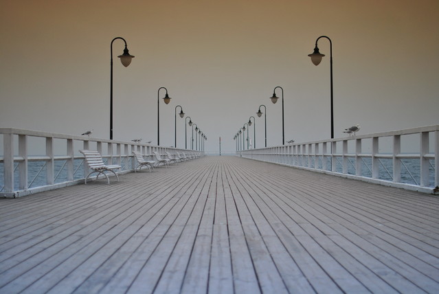 Paweł Kryściński #240465