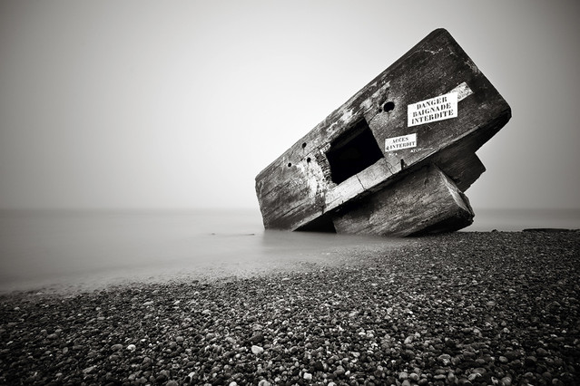 Danger Pafcio #217505