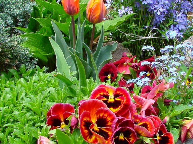 Mirosław Wysocki #254004