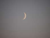 Agata OLYMPUS DIGITAL CAMERA