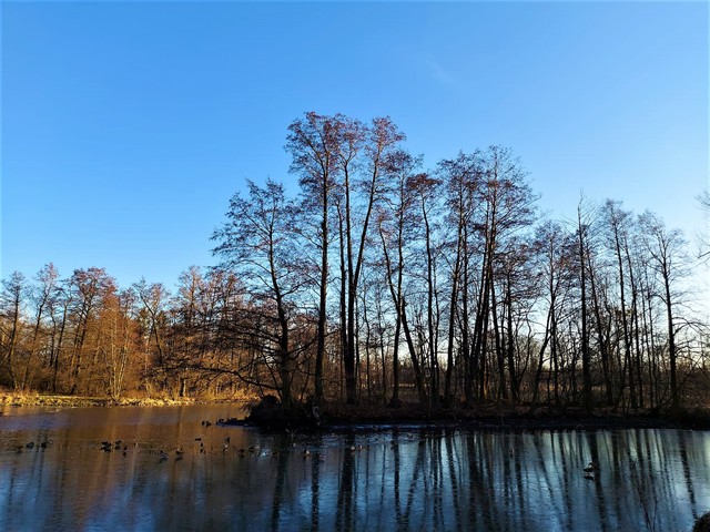 Edmund wronka #348725