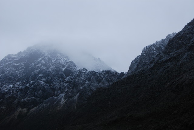 Jacek Pióro #106996