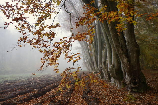 Sławek Rezerwa #346412