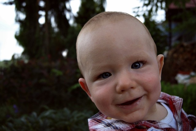 SONY DSC miszel #222872