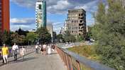 Picasa 