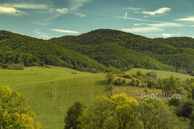 Beskid Sądecki Zbigniew Kapusta #349539