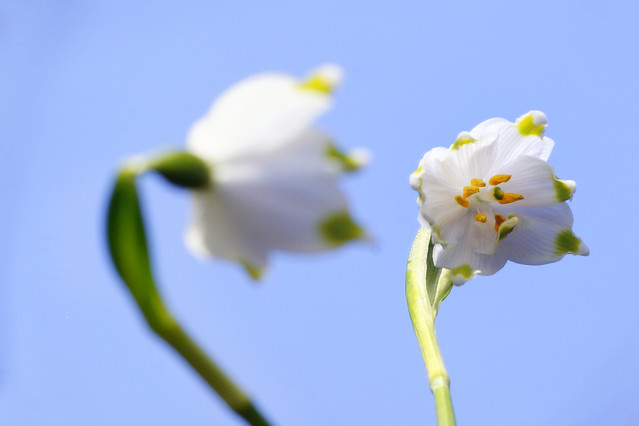 Sławek Rezerwa #348805