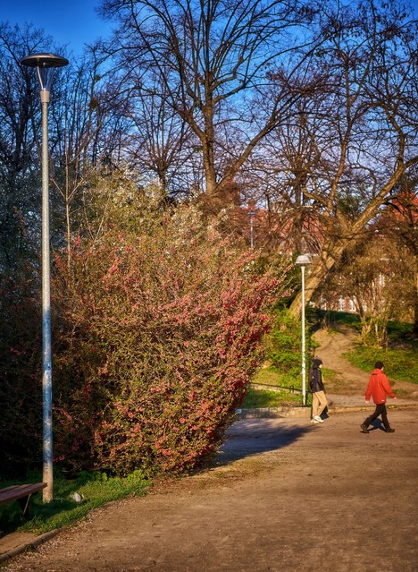 Tomasz Naglik #348863