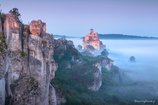 Marcin Rydzewski Poranek w Mirowie