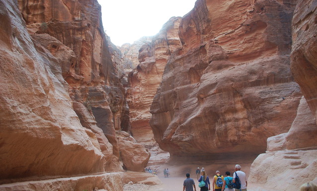 Janusz Mojżesz #269937