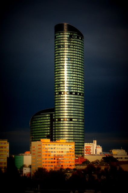 Picasa 