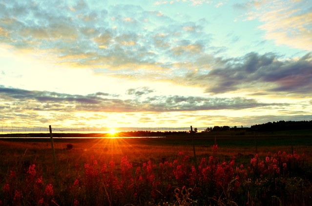 Krzysiek Cegiełka #310135