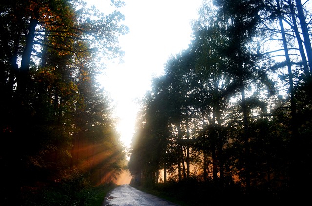 Krzysiek Cegiełka #272011