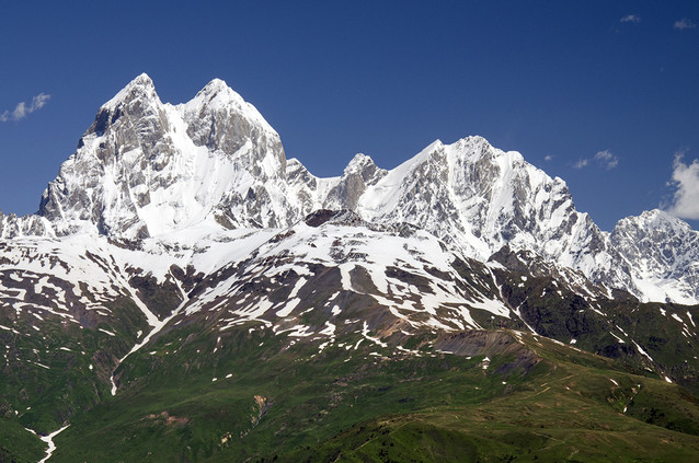 Uszba petronidas #263758