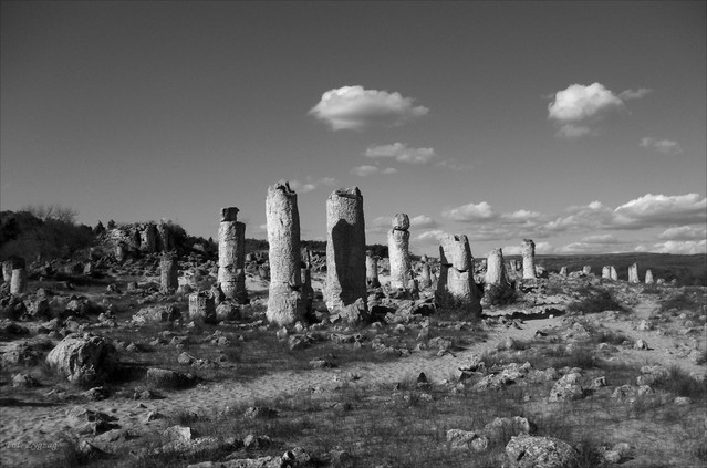 Stone forest Zygzag #346890