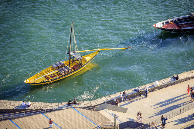 Porto PIOTR SCHMIDT +48535444106 #348645