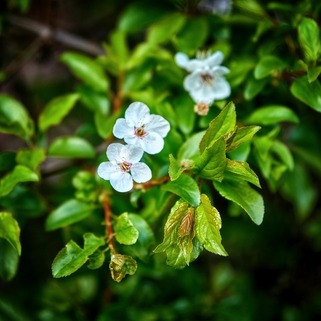 Tomasz Naglik #348866