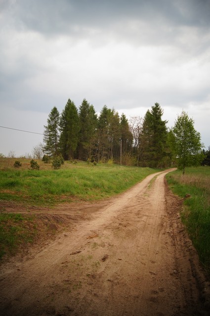 SONY DSC SONY DSC Angelika Malinowska #227338