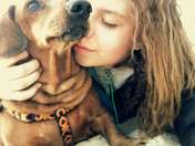 Picasa 