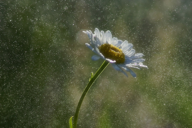 Sławek Rezerwa #349051