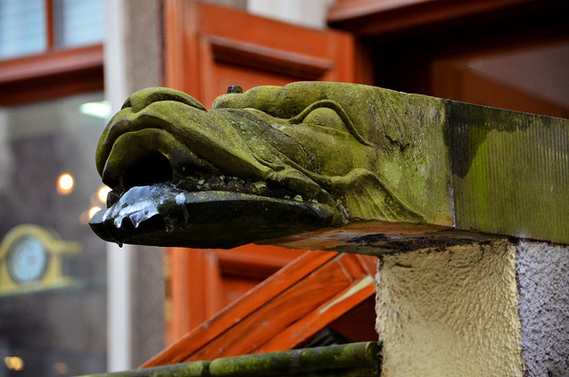 rzygacz z Mariackiej Picasa #241345