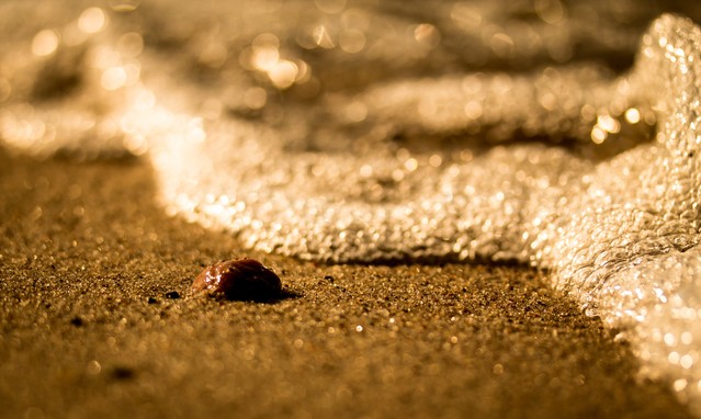 Fala: Marcin STIEBAL #309375