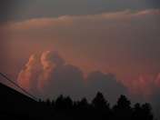 Marta Papuga SAMSUNG DIGITAL CAMERA