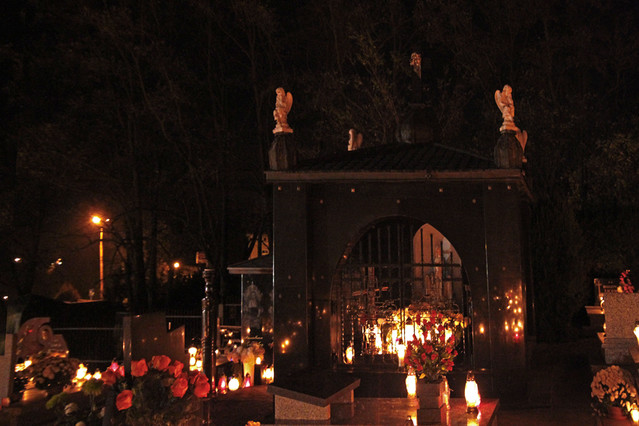 Włodzimierz Jędrzejczak #233984