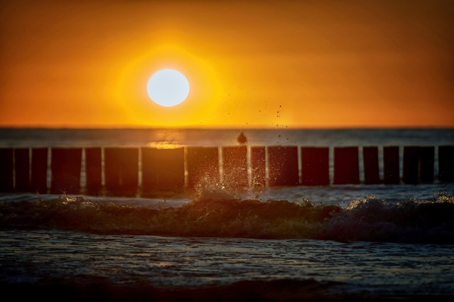 SONY DSC SONY DSC Tomasz Naglik #348102