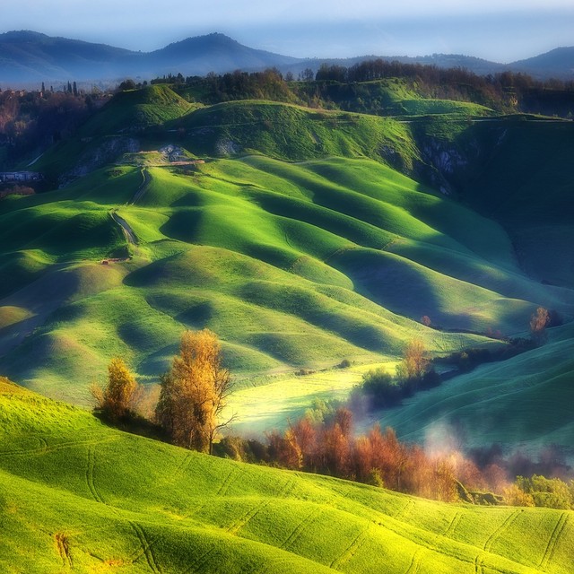 AdamPa Tuscany field