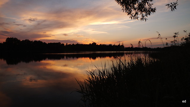 Malowane słoneczkiem Picasa #294313