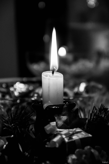 Jakub Schmidt #267753