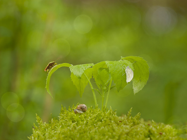 macrofun Na ploteczkach ;)