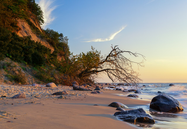 Cudze chwalicie,swego nie znacie Krzysztof Tollas #303386