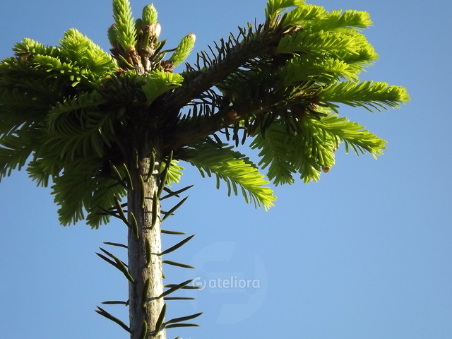 Ryszard Staniec #144781