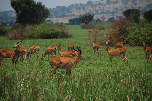 Jacek Pióro #107146