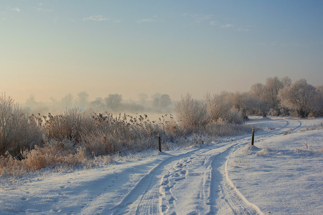 Nadwarciańska zima Pawel Plucinski #303316