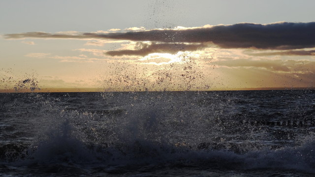 Andrzej Bachorski #119105