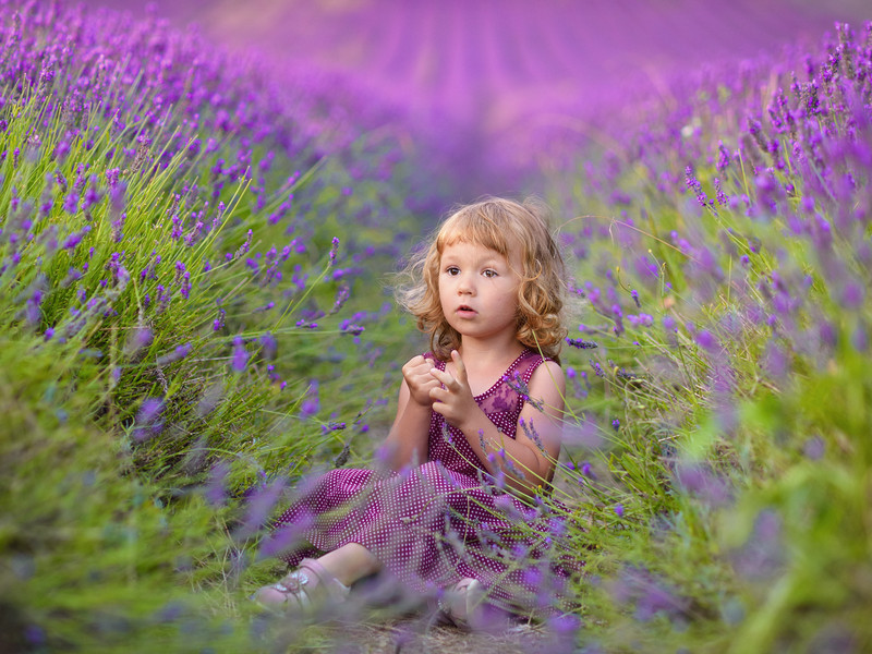 Pawel Prus | Lavender Dreams