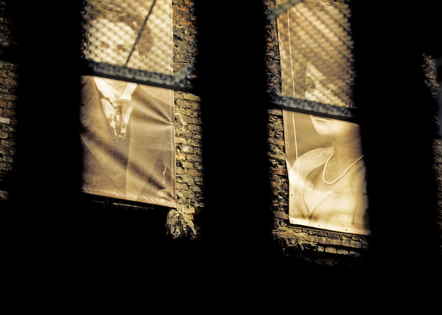 Bartosz Mrozowski #112963