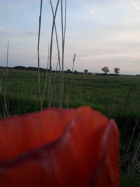 Natalia Adamska #123568