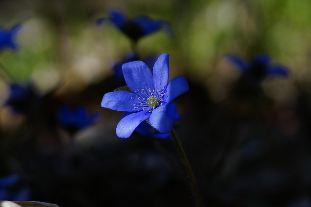 Sławek Rezerwa #348884