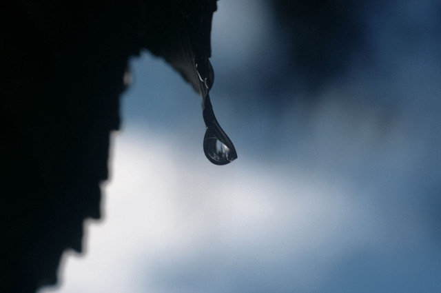 Barbara Luckyman #148930