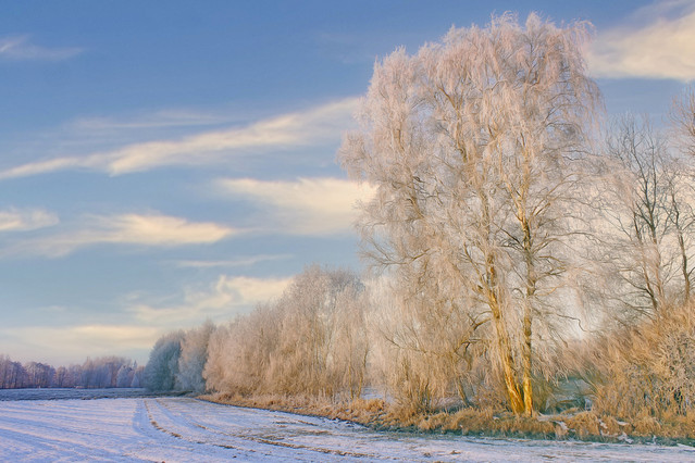 Sławek Rezerwa #348757